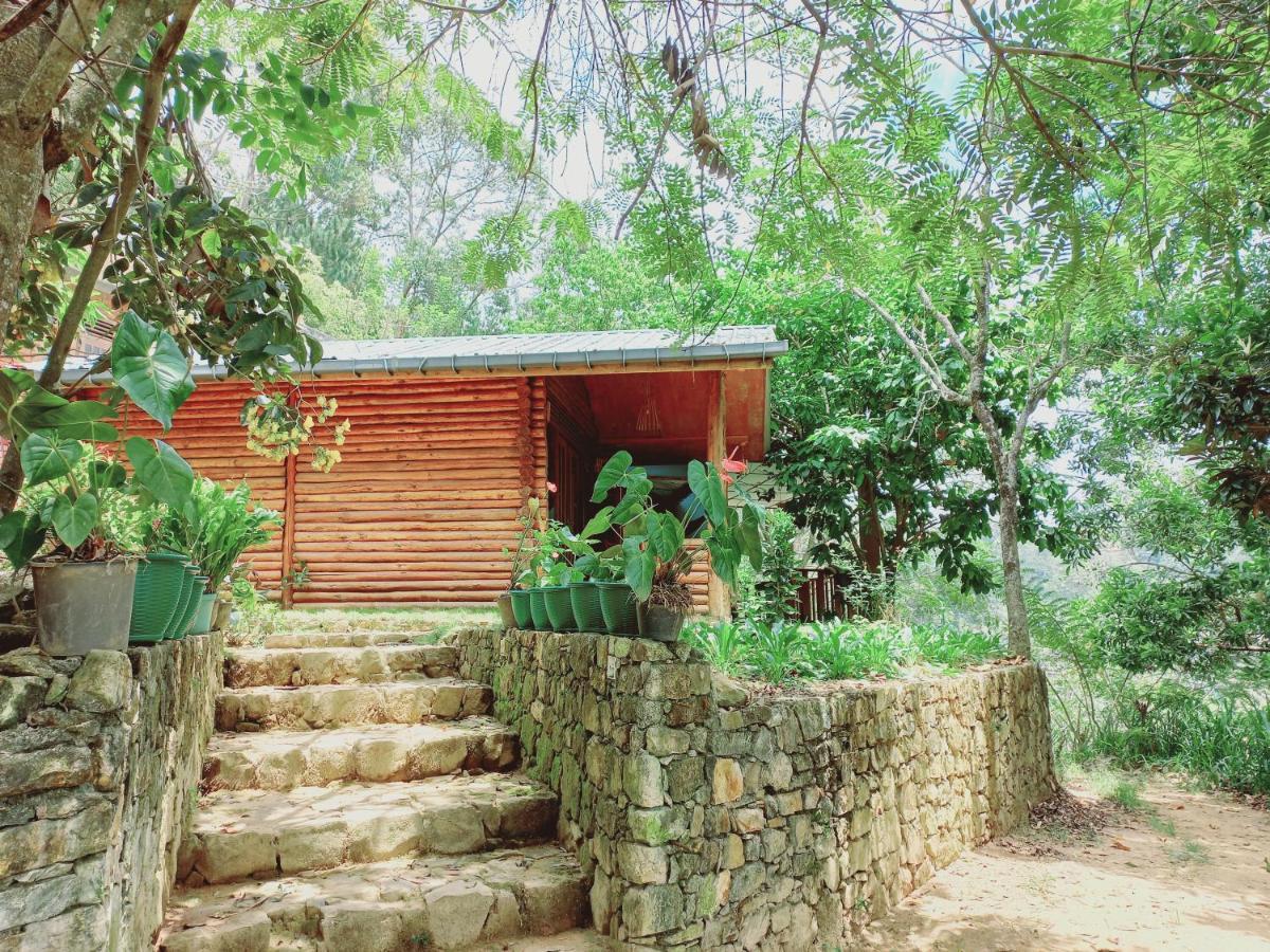 Felicity Inn เอลลา ภายนอก รูปภาพ