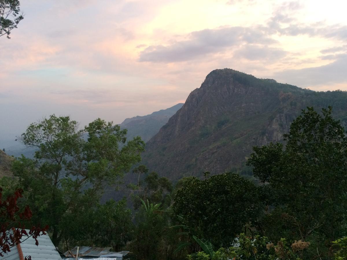 Felicity Inn เอลลา ภายนอก รูปภาพ